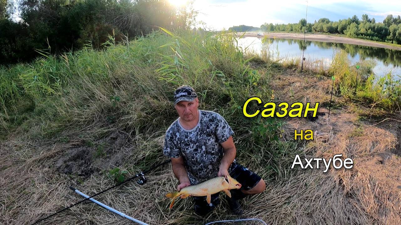 Летняя рыбалка на донки. Поймали сазана на жмых смотреть онлайн