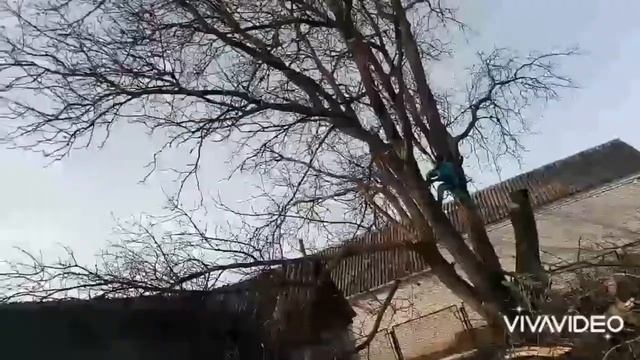Зріз аварійного дерева+демонтаж будинку смотреть онлайн