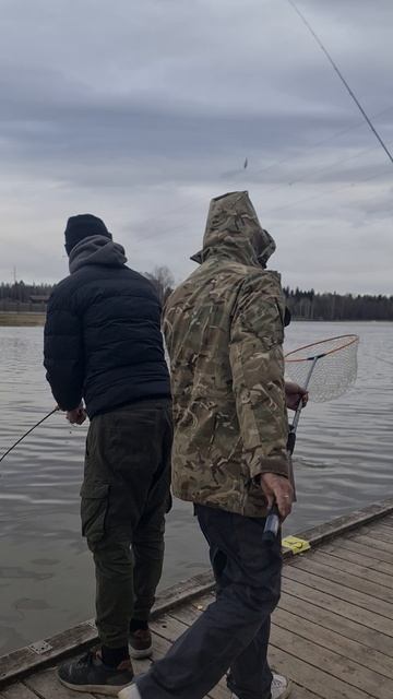 Форель. смотреть онлайн