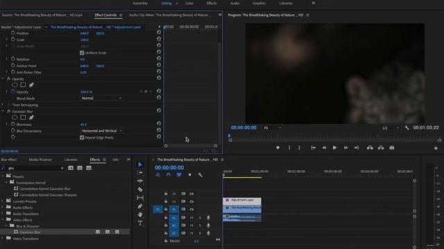 Blur Effect- Adobe Premiere Pro смотреть онлайн