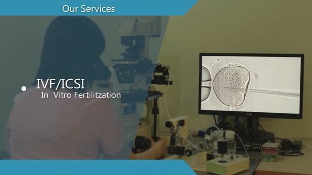 IVF Fertility Center in Armenia | Top IVF Clinic смотреть онлайн