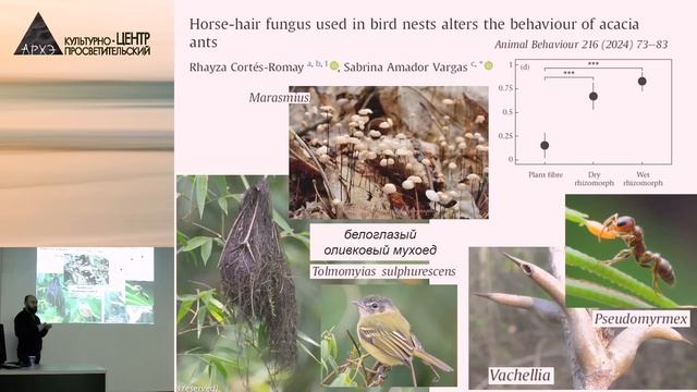 Научные итоги 2024 в зоологии позвоночных