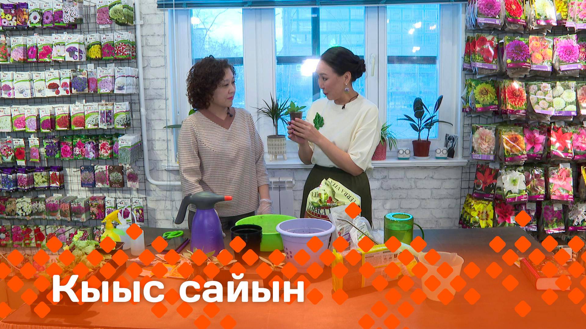 «Кыыс сайын» (04.04.25)