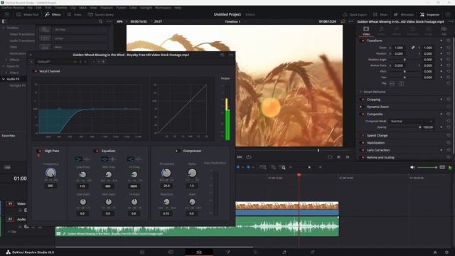 How to Remove Wind Noise in DaVinci Resolve смотреть онлайн