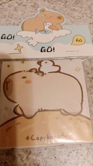 Распаковка бокса капибара 🦫