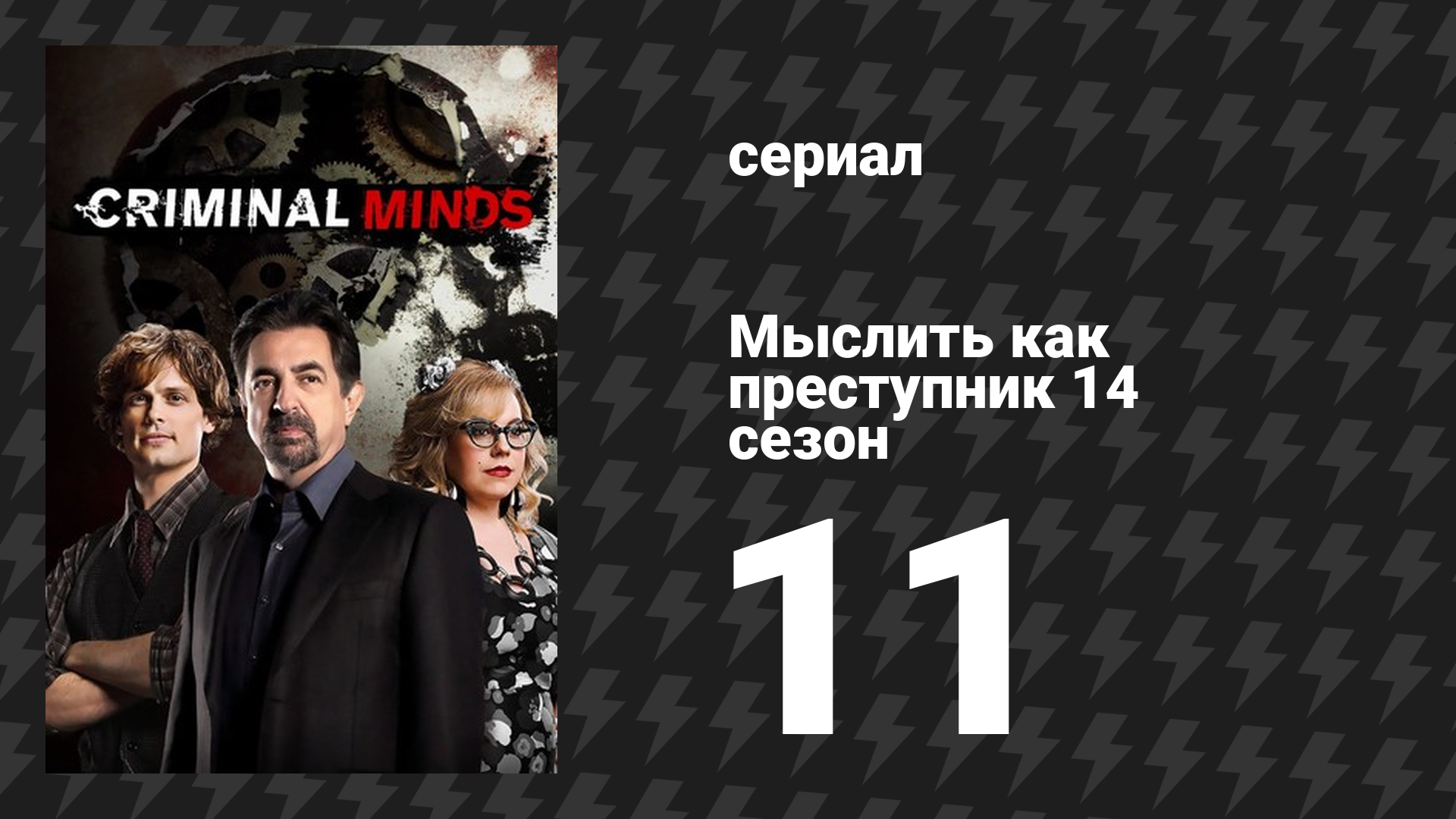 Мыслить как преступник 14 сезон 11 серия «Свет в ночи» (сериал, 2005-2020)