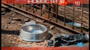 Переход вещания и начало новостей (41-Домашний [Екатеринбург], 14.05.2018 г.)