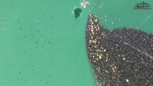 Гости сезона 2022 года