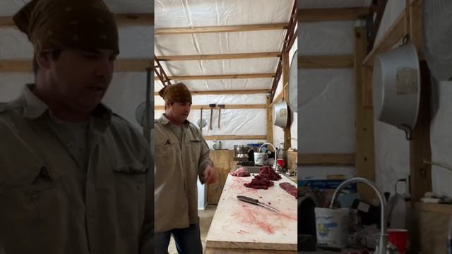Processing deer meat смотреть онлайн