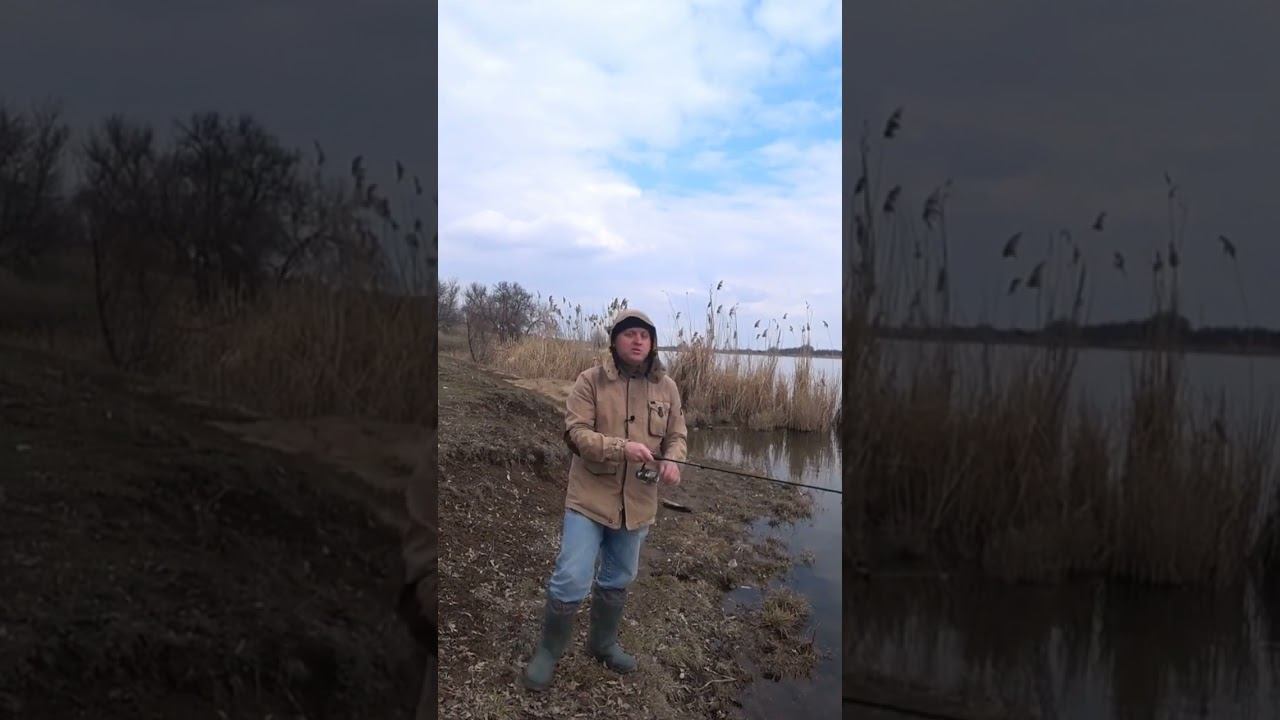 Пару слов о Блю Фокс Супер Вибракс #щука #рыбалка #весна #спиннинг #блеснанащуку #shorts смотреть онлайн