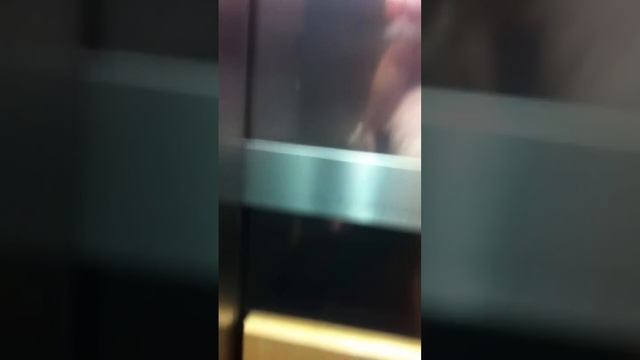 Sissy Maid Dress Leaving Hotel And Getting In Taxi