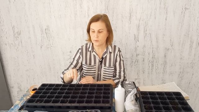 ВИРОЩУЮ ПЕРЕЦЬ і БАКЛАЖАНИ БЕЗ ПІКІРОВКИ🫑🍆Швидкі сходи і міцна розсада#розсадабаклажан#розсадаперця смотреть онлайн