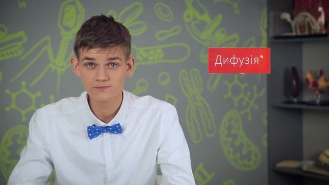 Рослинна клітина. ЗНО з біології смотреть онлайн