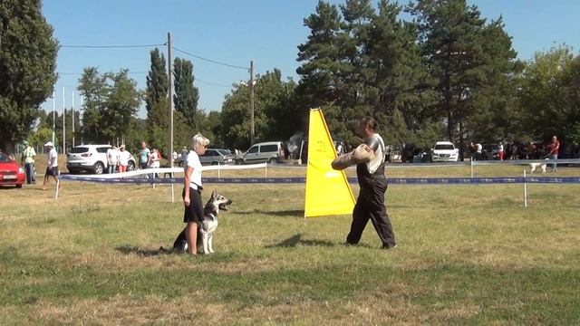 Голджин Иверия лобовая смотреть онлайн