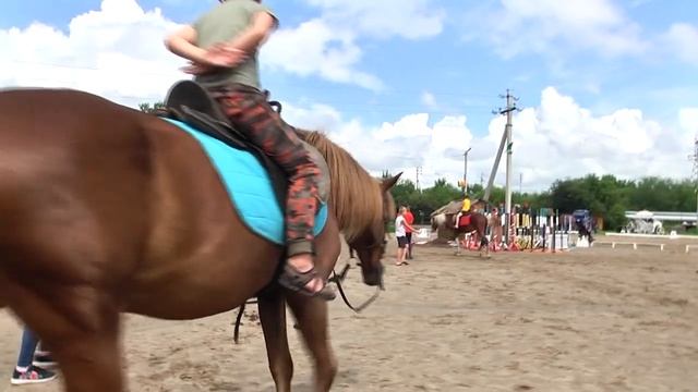 Уроки верховой езды проходят в лагере при конноспортивном клубе «Аллюр» смотреть онлайн