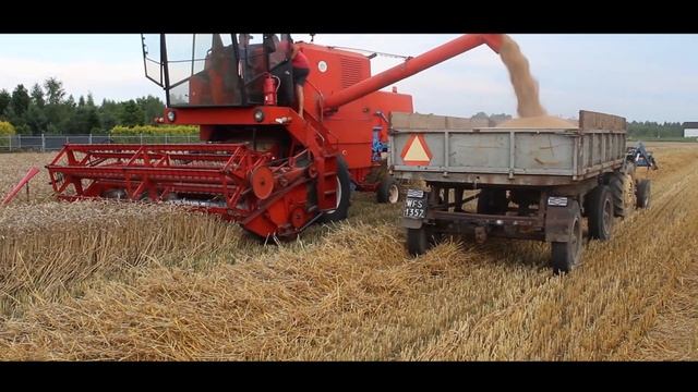 Żniwa 2021😍! Koszenie pszenicy🚜 Bizon SUPER & -U-R-S-U-S- c-330 w akcji💪 смотреть онлайн