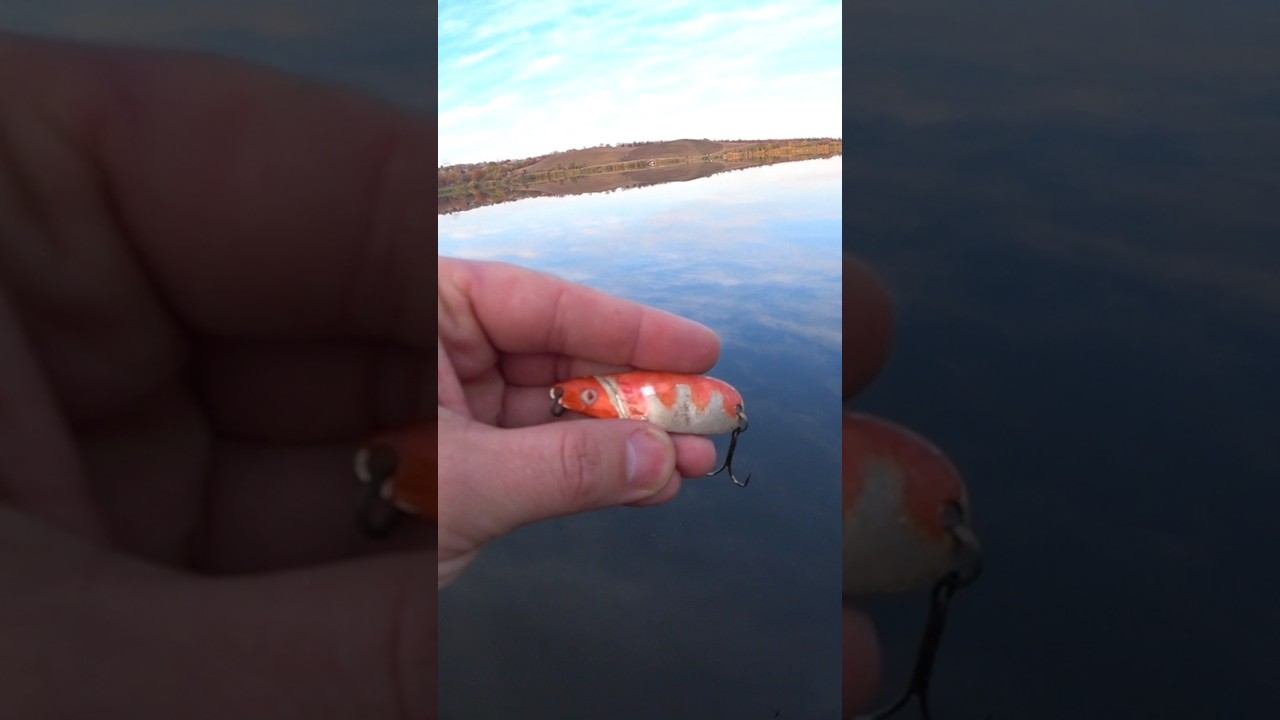 Одна из лучших по щуке #рыбалка #fishing #спиннинг #щука смотреть онлайн