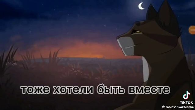 Мечты и правда коты воители смотреть онлайн