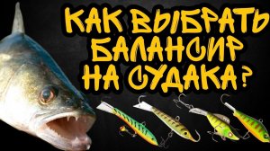 Как выбрать балансир на судака? Лучшие балансиры