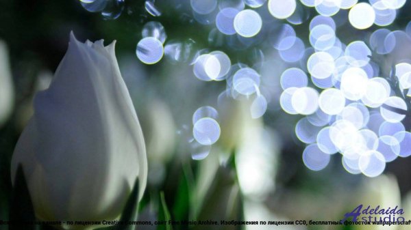 ❤ ❤ ❤ Звук, который проникает в душу - Echo - Synthwave Cyberpunk Dreamwave -- Elysium Sound -- Echo