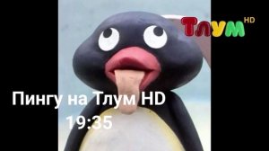 Фрагмент эфира Тлум HD Мелон
