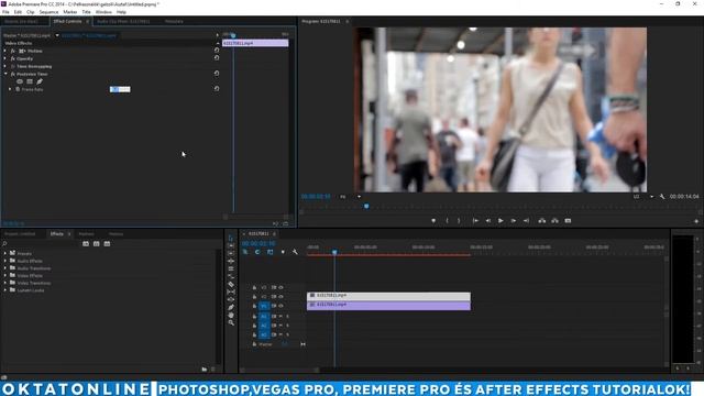 Adobe Premiere Pro [POSTERIZE TIME EFFEKT]