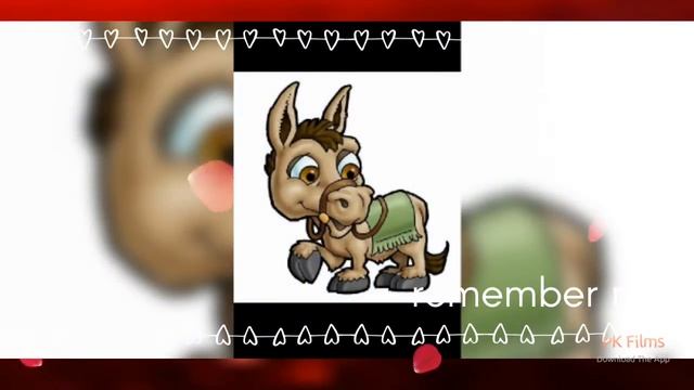 Loly again..animals смотреть онлайн