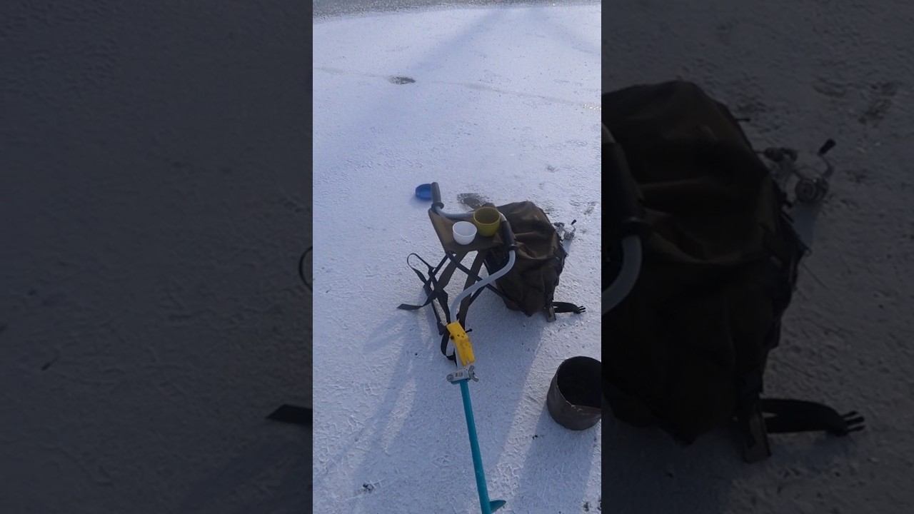 А как бы поступили вы? #рыбалка #зимняярыбалка #нерест #shorts смотреть онлайн