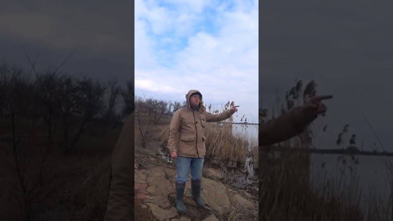 Блесны на щуку весной #щука #рыбалка #весна #спиннинг #блесна #shorts смотреть онлайн