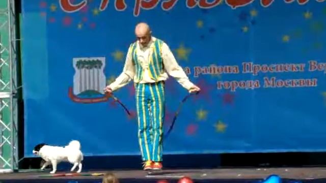 MOV02800 смотреть онлайн
