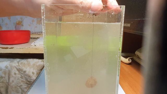 14 марта 2021 г. смотреть онлайн