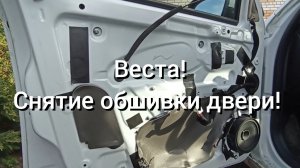 Веста! Снять, установить обшивку двери!