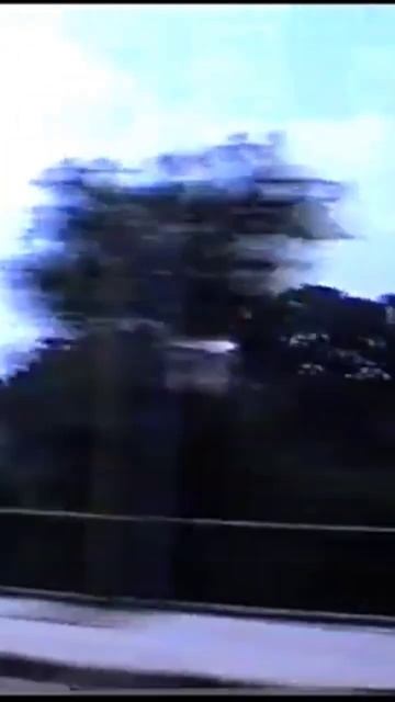 Виды Каирских улиц. Египет август 1995 год. #travel #automobile #history #beach #vlog #nature смотреть онлайн