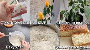 #107 СТОЛЬКО ЛЕТ НЕ ЦВЁЛ! 🌼 Цветочки радуют. Пеку хлеб 🍞 Делюсь рецептом