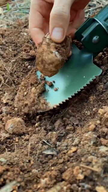 Раскопки / нашел старинный замок смотреть онлайн