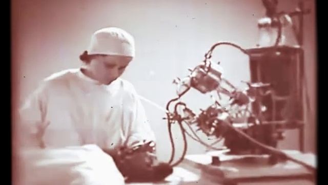 Интересный эксперимент ОЖИВЛЕНИЕ ( 2 часть) смотреть онлайн