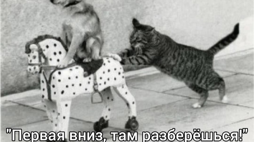 Пуск двигателя Ява 634 из г. Череповец и сборка из г. Москва (Jawa 634) Будни в мастерской.