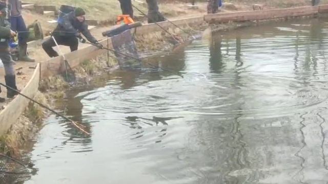 WhatsApp Video 2025-04-05 at 10.04.17 смотреть онлайн