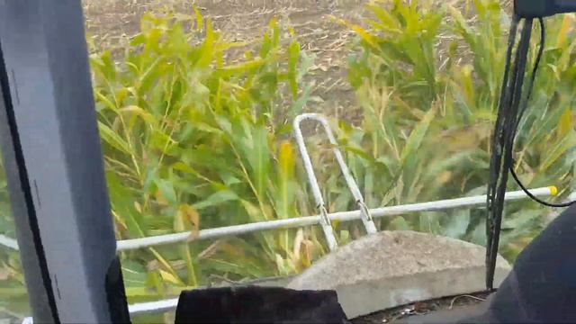 Riding in a Jaguar 950 смотреть онлайн