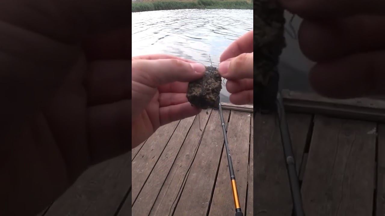 А каким пользуетесь вы? #карась #fishing #рыбалка #fishingequipment #макушатник смотреть онлайн