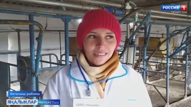 Актаныш районында иң яхшы зоотехникларны, ветеринария табибларын ачыкладылар смотреть онлайн