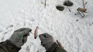 Поменял приманку и началось!