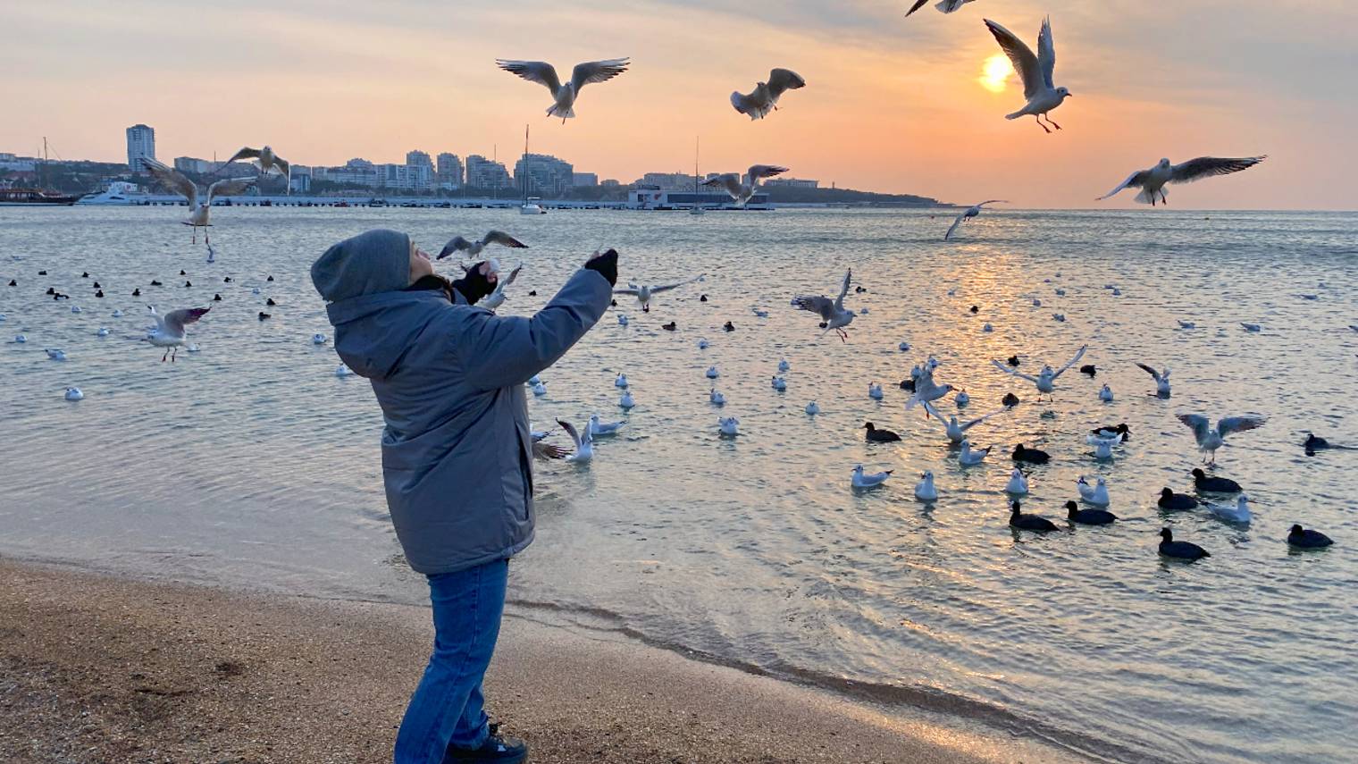 Налаживаю БЫТ, первые ВПЕЧАТЛЕНИЯ 🤔 от Геленджика и сравнения с Адлером! смотреть онлайн