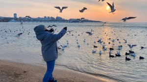 Налаживаю БЫТ, первые ВПЕЧАТЛЕНИЯ 🤔 от Геленджика и сравнения с Адлером!