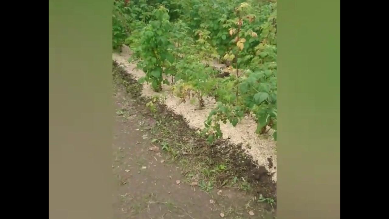 Малиновое преображение. Из Золушки в принцессу смотреть онлайн