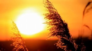 Действительно Важное (2)