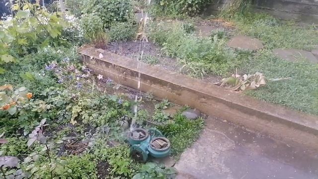 Ирисы и дождь смотреть онлайн