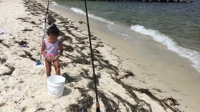 Fishing at Fort Pickens Fishing Pier, View of Bob Sikes Fishing Pier, and Beaching Pensacola Beach смотреть онлайн