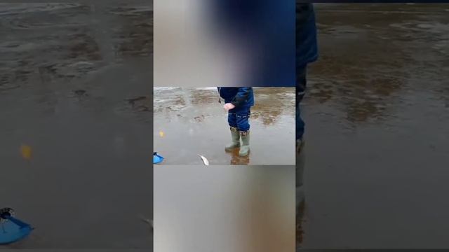 Video Guru 20201129 172513835 смотреть онлайн