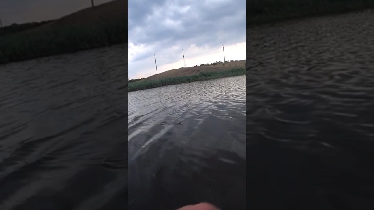 Вот тебе и улов! #карась #рыбалка #fishing #shorts смотреть онлайн